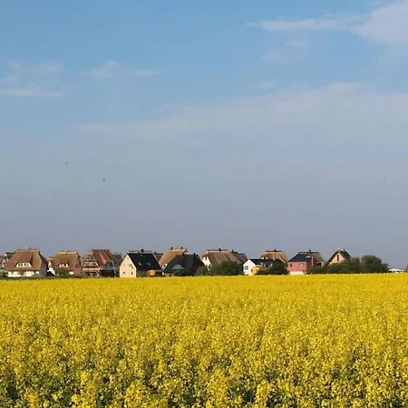 In With Swimming Pool * Dranske