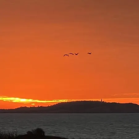 In With Swimming Pool Dranske