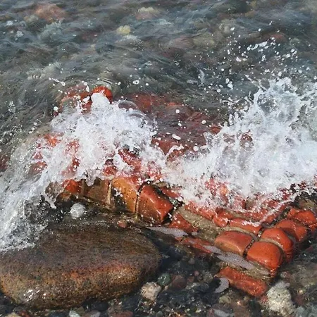 In With Swimming Pool Tatil Evi *