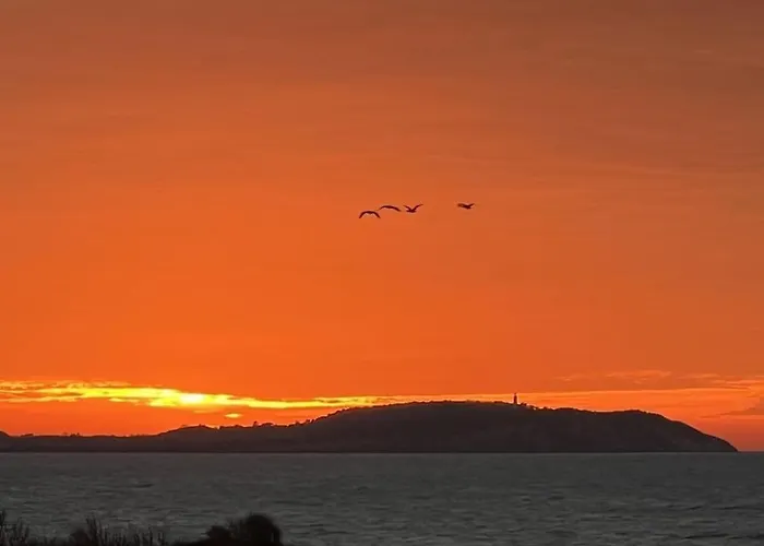 In With Swimming Pool Dranske