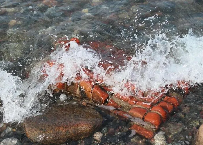 In With Swimming Pool Holiday home *