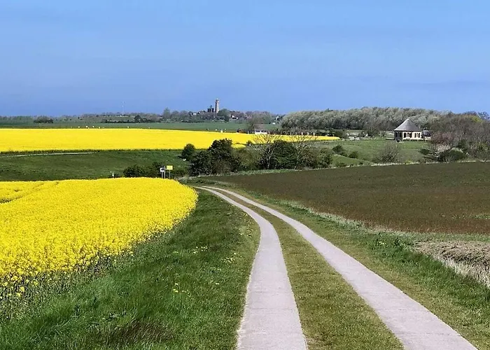 In With Swimming Pool *